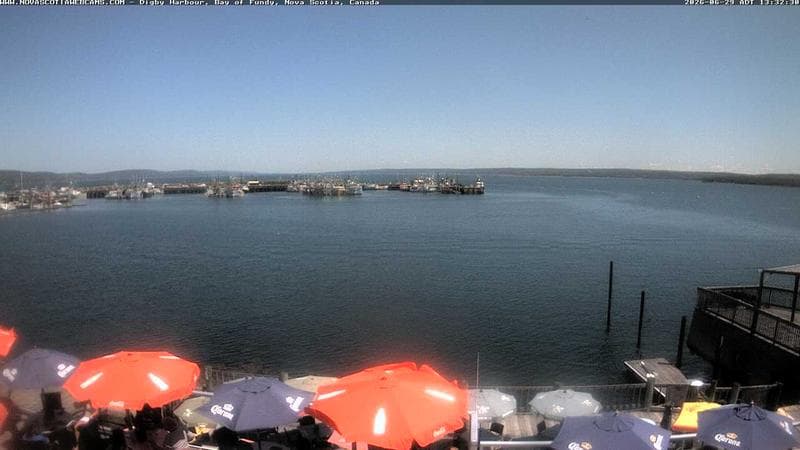 Digby Harbour