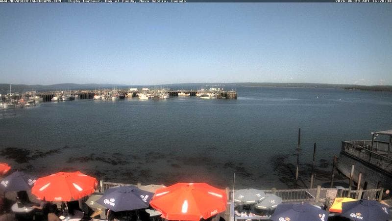 Digby Harbour