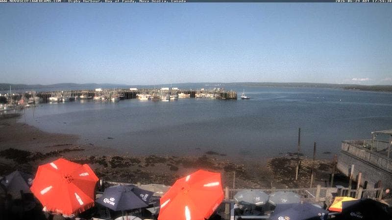 Digby Harbour