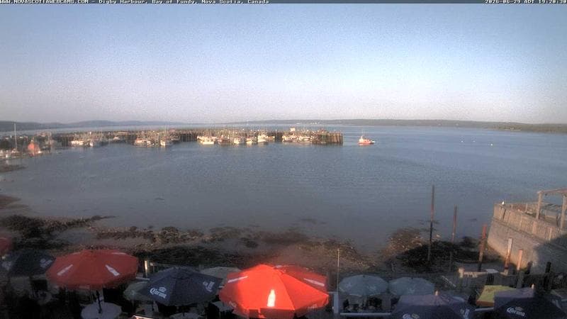Digby Harbour