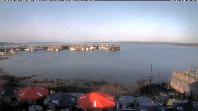 Digby Harbour