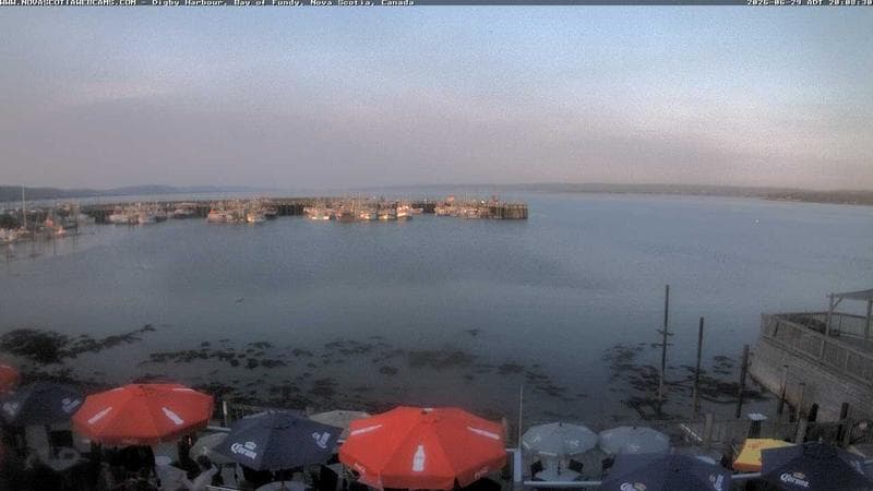 Digby Harbour