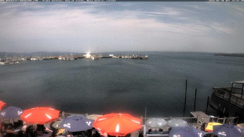 Digby Harbour
