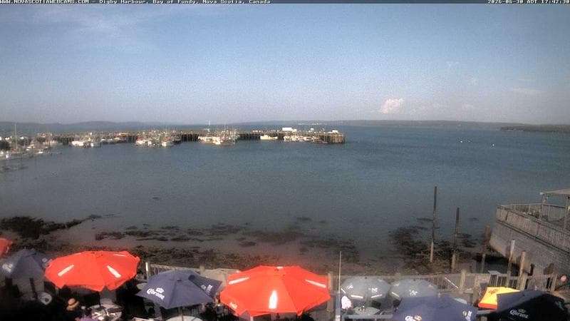 Digby Harbour