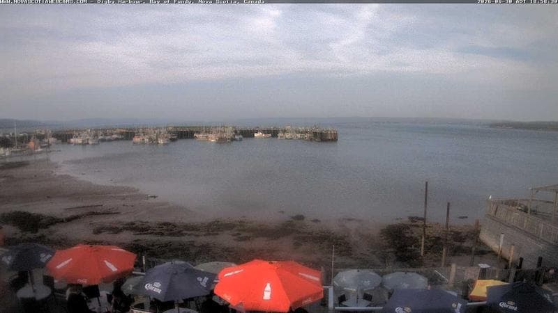 Digby Harbour