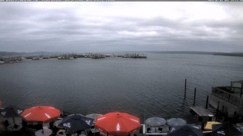 Digby Harbour
