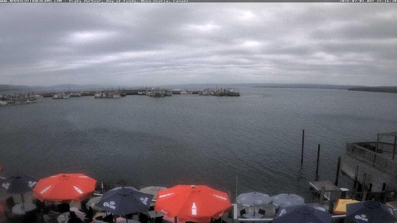 Digby Harbour