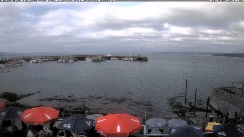 Digby Harbour