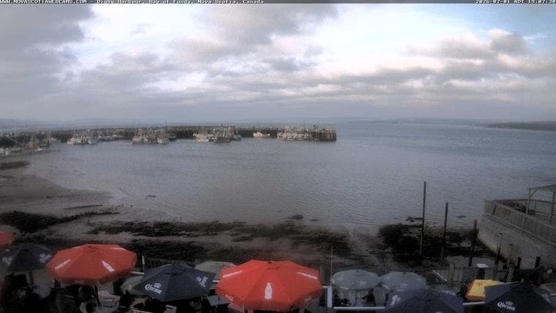 Digby Harbour