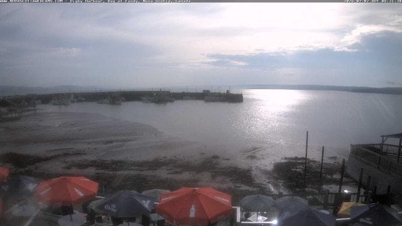 Digby Harbour