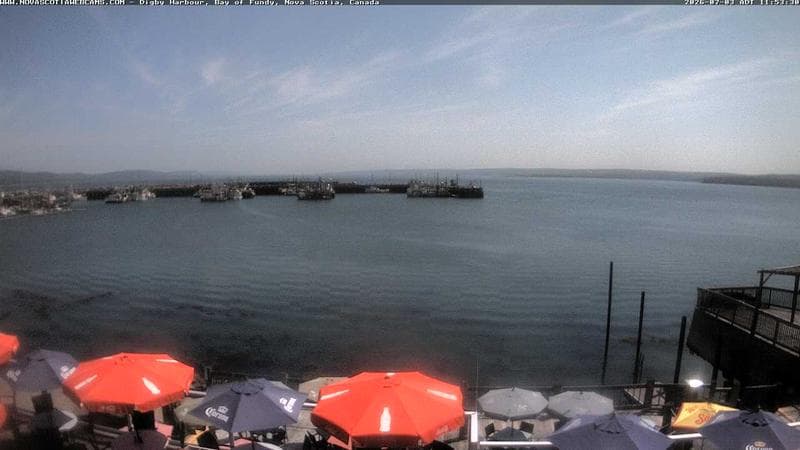 Digby Harbour