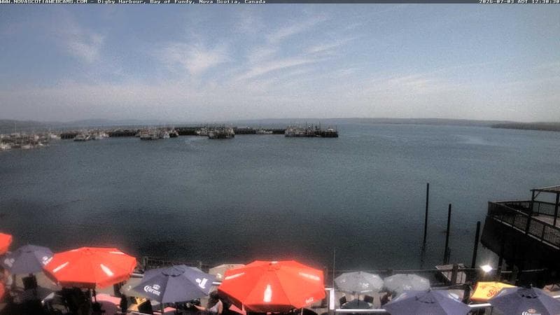 Digby Harbour