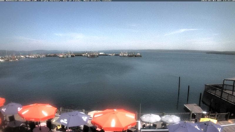 Digby Harbour
