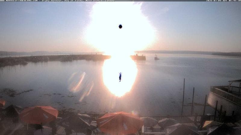 Digby Harbour