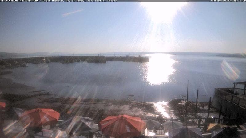 Digby Harbour