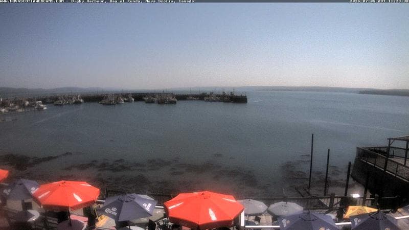 Digby Harbour