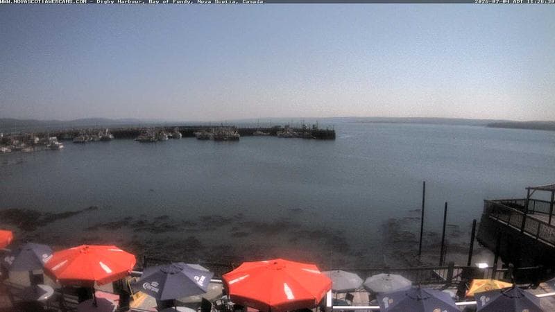 Digby Harbour