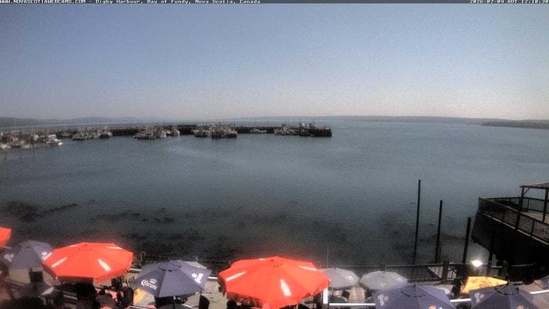 Digby Harbour