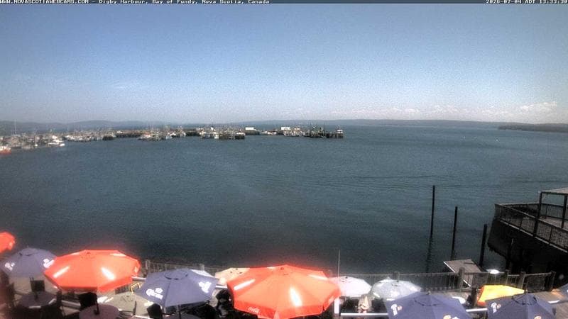 Digby Harbour