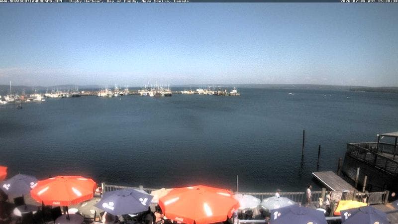 Digby Harbour