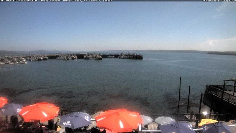 Digby Harbour