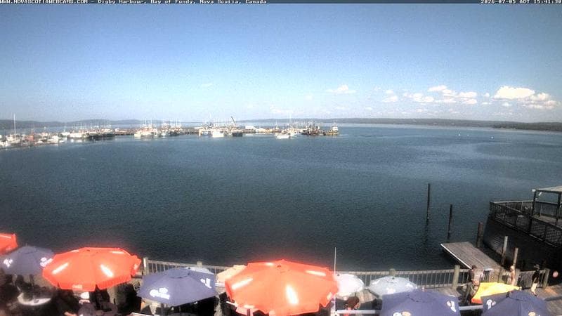 Digby Harbour
