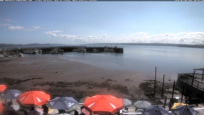 Digby Harbour