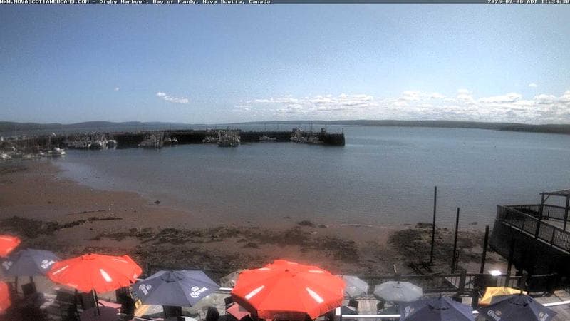 Digby Harbour