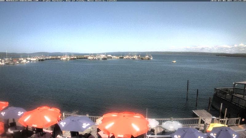 Digby Harbour