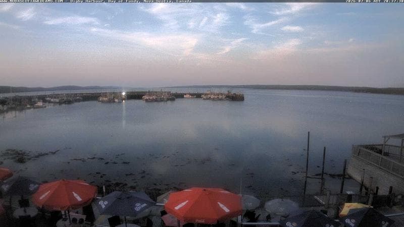 Digby Harbour