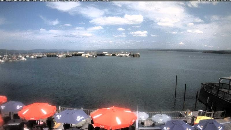 Digby Harbour