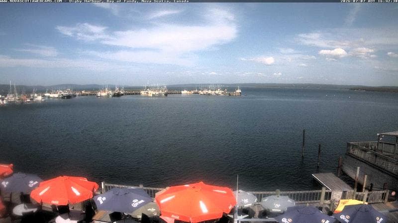 Digby Harbour