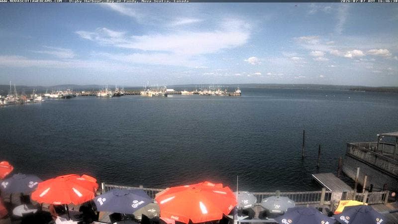 Digby Harbour