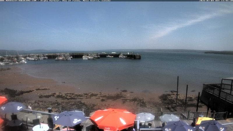 Digby Harbour
