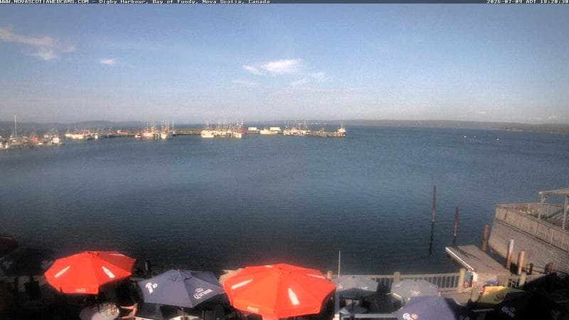Digby Harbour