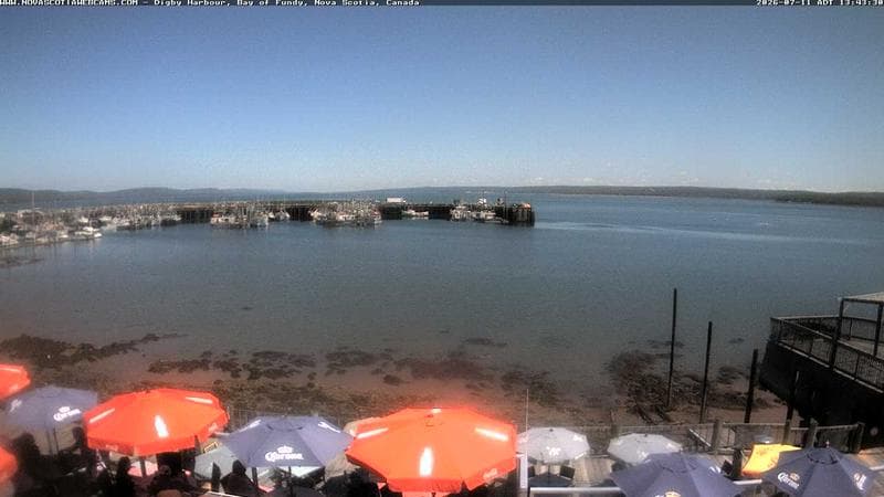 Digby Harbour