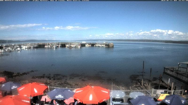 Digby Harbour