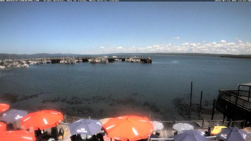 Digby Harbour
