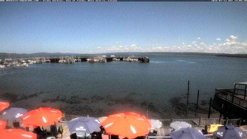 Digby Harbour