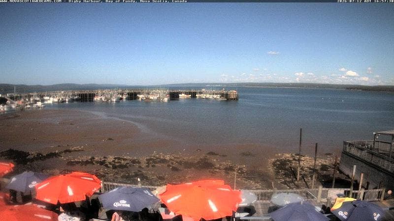 Digby Harbour