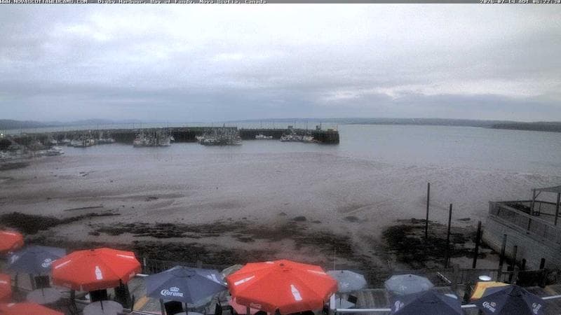Digby Harbour