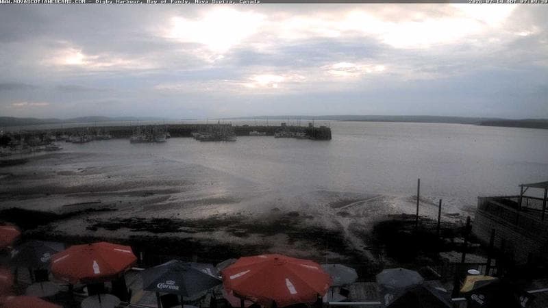 Digby Harbour