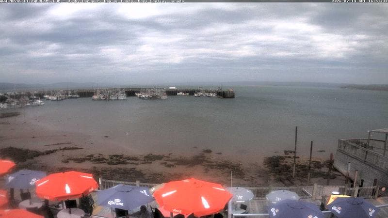 Digby Harbour