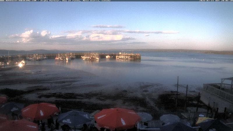 Digby Harbour