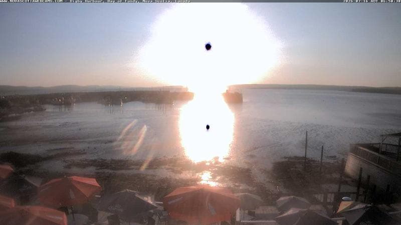 Digby Harbour