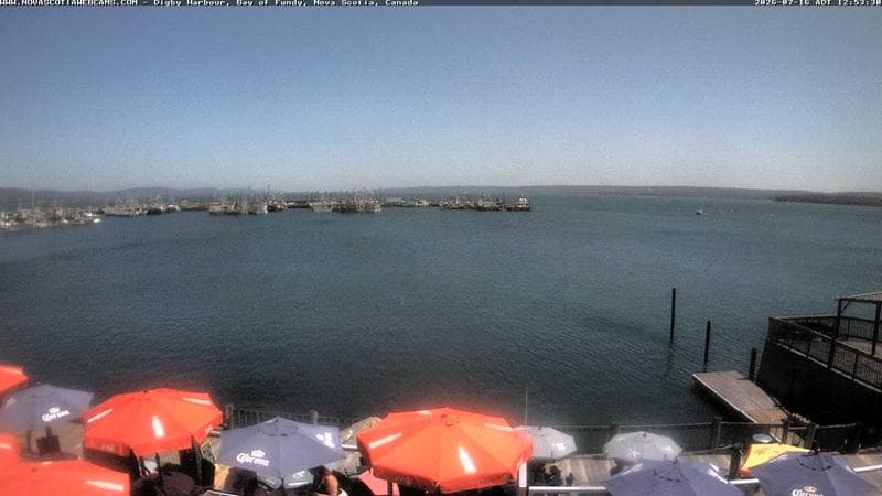 Digby Harbour