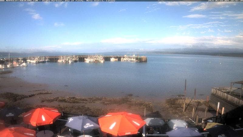 Digby Harbour