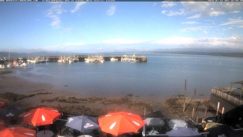 Digby Harbour