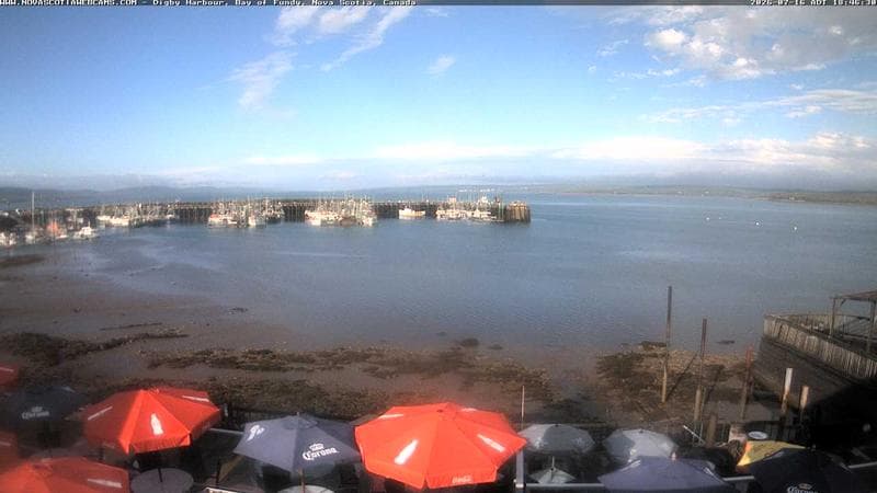 Digby Harbour