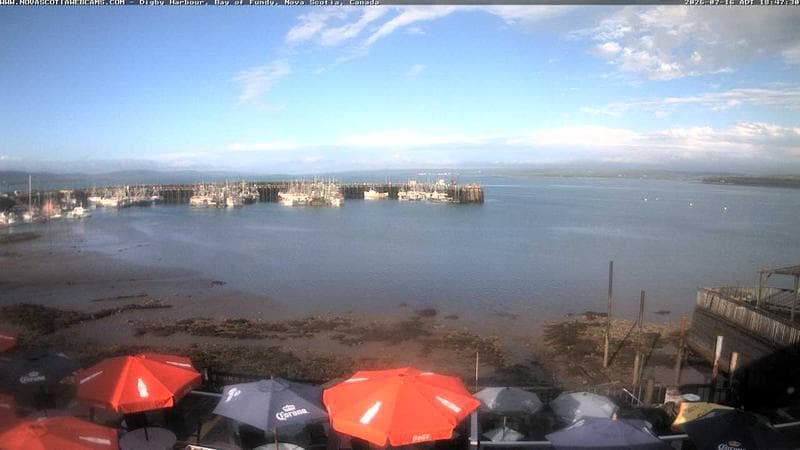Digby Harbour